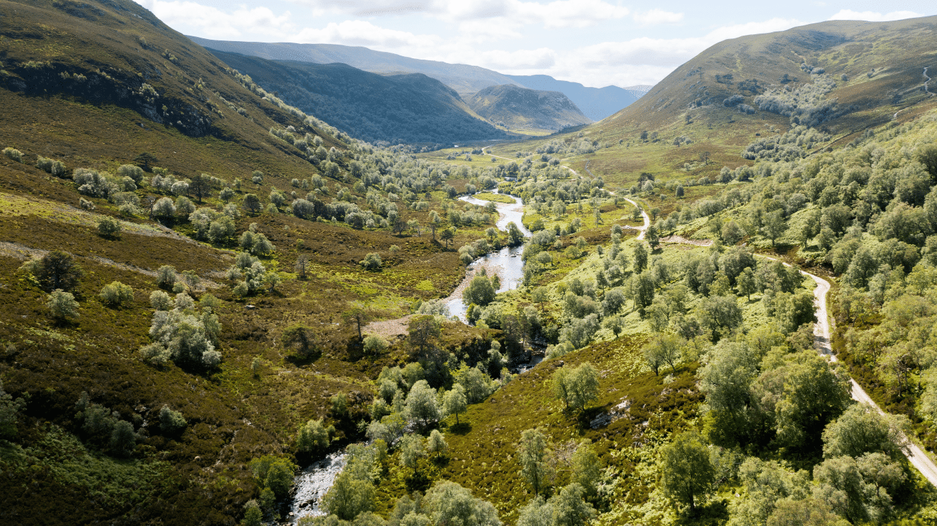 New funding to boost investment-readiness for nature markets in Scotland