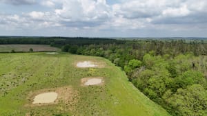 Boothby Wildland, Lincolnshire