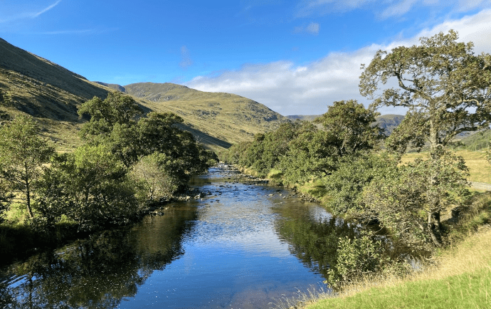 Almond Headwaters